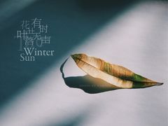 -牛王庙小吃(桥头街店)