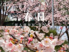 -静安雕塑公园