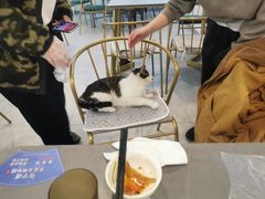 -东北饭店·饺饺者( 学府壹号店)