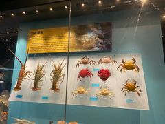 -天津自然博物馆