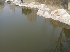 -绿岛公园(滨海新区)