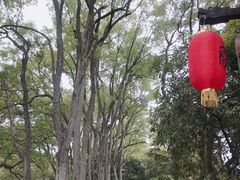 -桂林灵渠景区