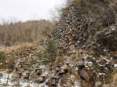 -神农架景区
