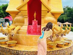 -西双版纳勐泐文化旅游区