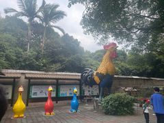 -深圳野生动物园