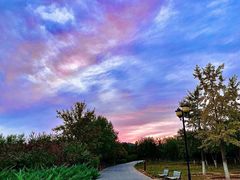 -永定河休闲森林公园