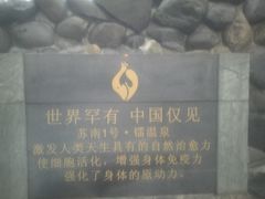 -张家港金凤凰度假村温泉