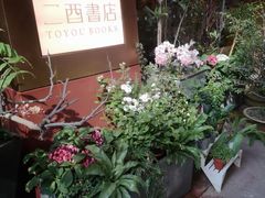 -二酉书店TOYOU BOOKS