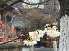 -古大圣慈寺