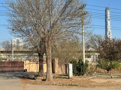 -甜心庄园·甜心草莓采摘园(西青中北店)