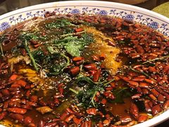 杨记招牌鱼-杨记隆府(白象街店)