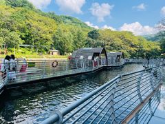 -参仙谷生态旅游度假区