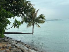 -巴拉湾海滩