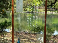 -台州府城(东湖)