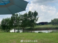 -蒲河大集