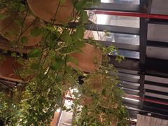 -庄子梦然·城市微度假·24h按摩·推拿·spa