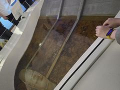 -白鹤梁水下博物馆
