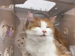 -FAELING PETS美天灵宠物(富力广场店)