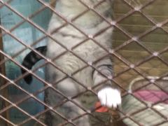 -有才叔的小馆(招商依云曲江店)