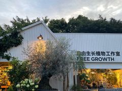 -自由生长植物工作室(深港花卉中心店)