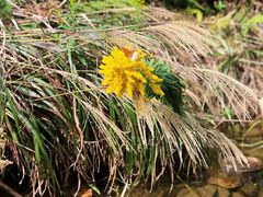 -会稽山峡洞漂流-上青古道