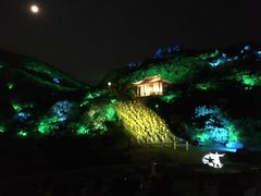 -印象普陀
