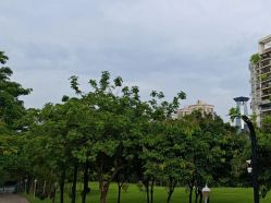 -深圳市儿童乐园