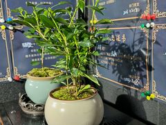 -奇门密室(五一新干线店)