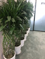 -北京炫美医疗美容