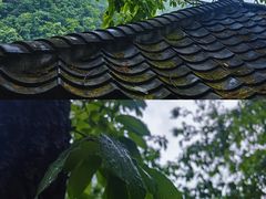 -牛背梁国家森林公园