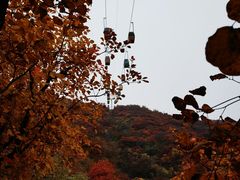 -周口店坡峰岭风景区