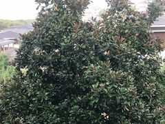 -太湖湾开元名庭大酒店