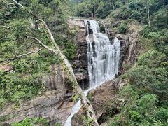 -海南热带雨林国家公园吊罗山景区
