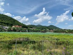 -红山村