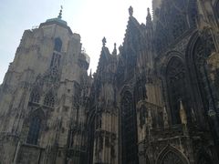 -斯蒂芬主教座堂(Stephansdom)