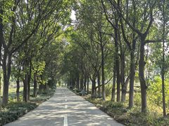 -凤凰沟景区