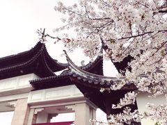 -苏州上方山国家森林公园