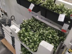 -宜家家居(哈尔滨商场店)