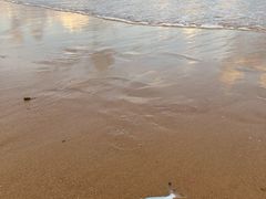 -三亚海棠湾万丽度假酒店