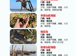 -巧克力渔家.小船海鲜胶东菜(万平口店)