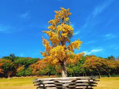 -浙江大学(玉泉校区)