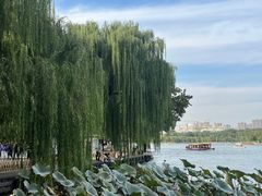-济南大明湖景区