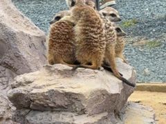 -茅山东方盐湖城景区