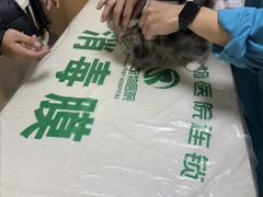 -瑞派宠物医院·24h·骨外科·皮肤科·全科宠物医疗转诊中心(沈阳浑南院)