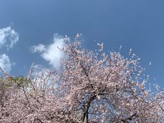 -北坞公园