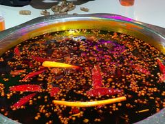 -枇杷园食为鲜火锅(南山店)