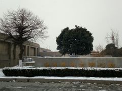 景点-汉景帝阳陵博物院