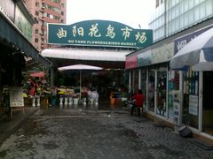 -曲阳花鸟市场(曲阳路店)