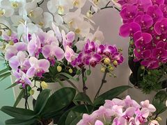 -EPOQUE·一刻花店(兴业太古汇店)