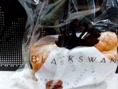 android_upload_pic-BLACKSWAN黑天鹅(环球店)